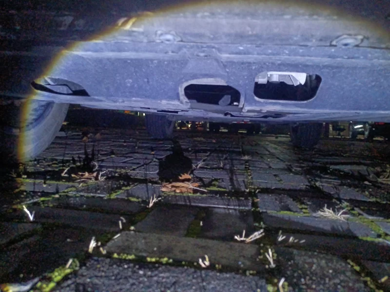 Haval X Dog / Dargo 2021 #22 Haval X Dog / Dargo 2021 car image #22