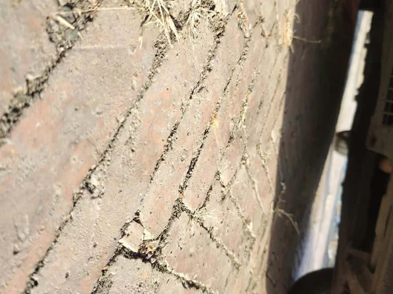 Honda Jade 2018 immagine di auto #22