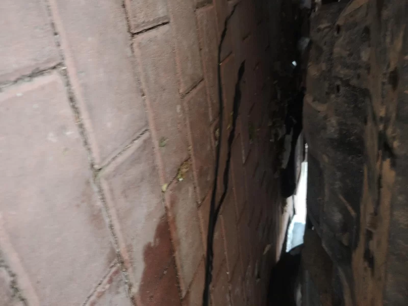 Changan CS55PLUS PHEV 2021 #22 Changan CS55PLUS PHEV 2021 immagine di auto #22