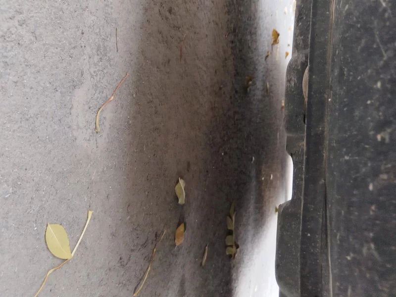 Changan CS75 PRO 2019 car image #22