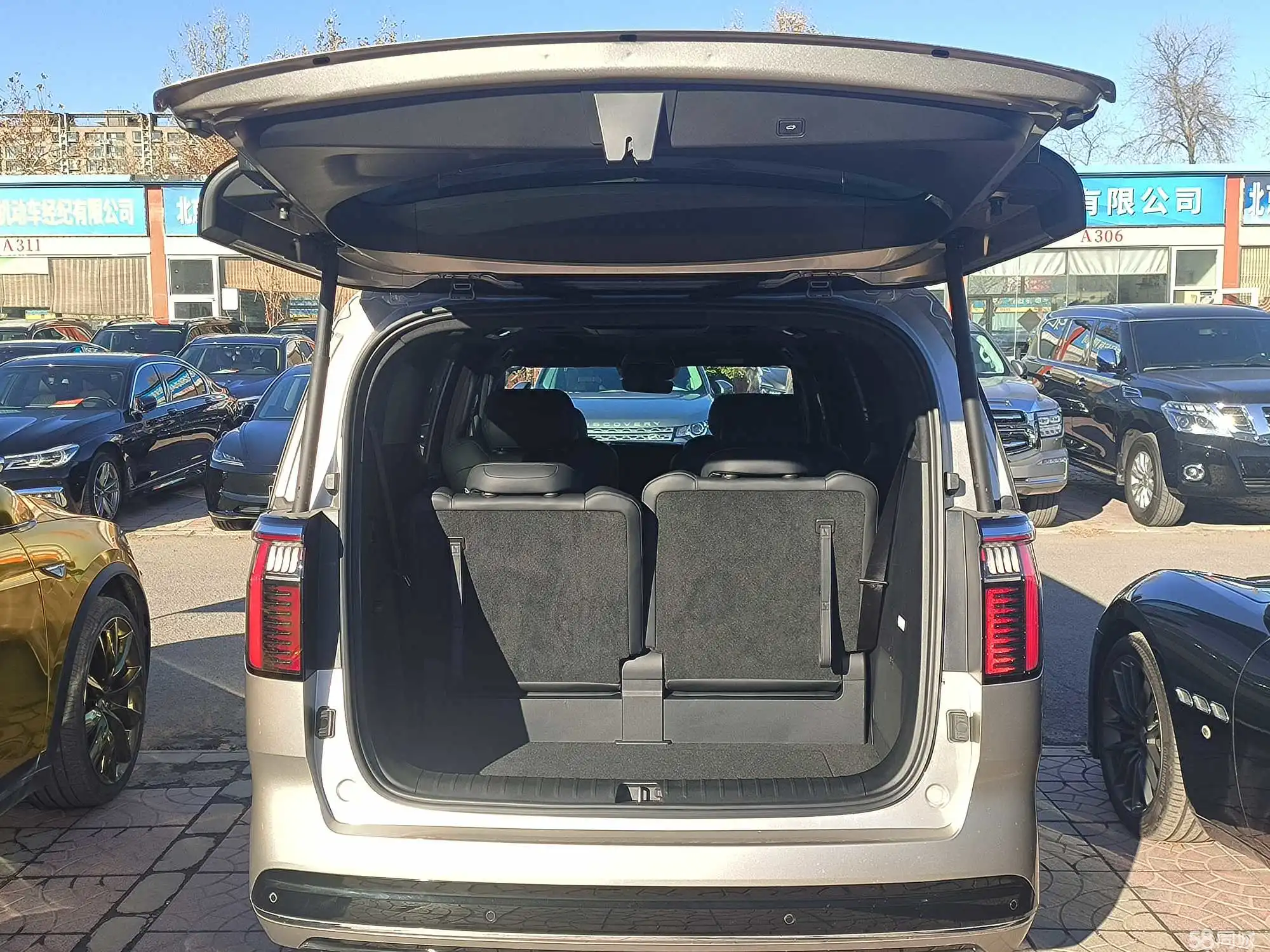 极氪 极氪009 2023 汽车图片 #22