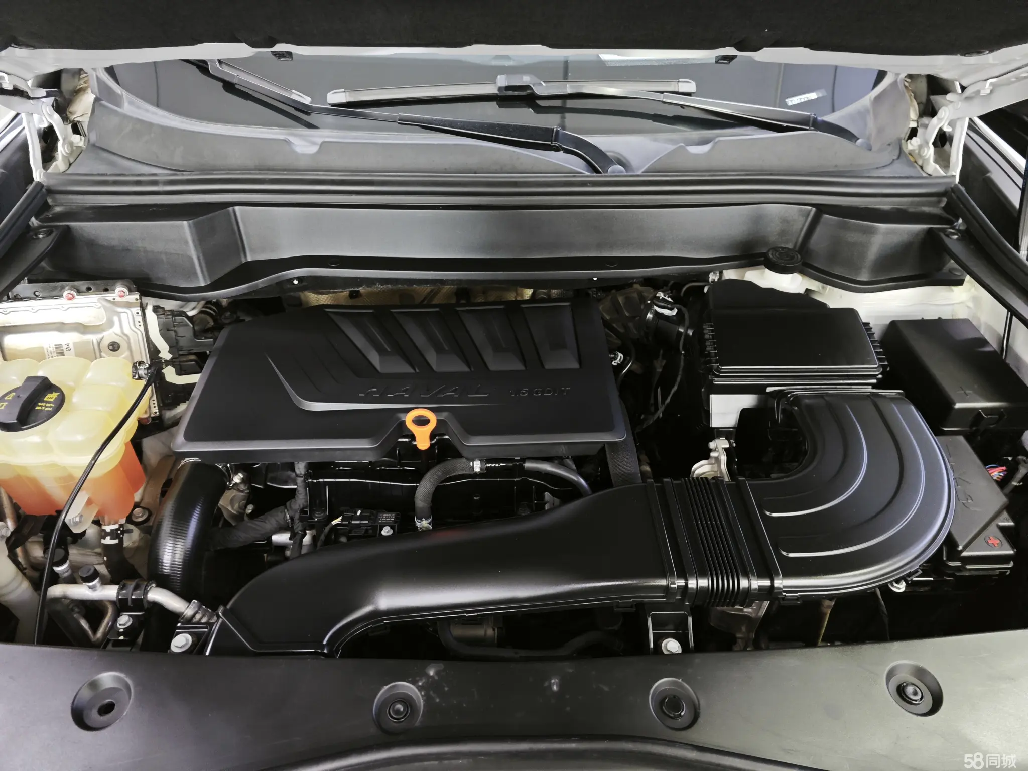 Haval F7x 2021 car image #22