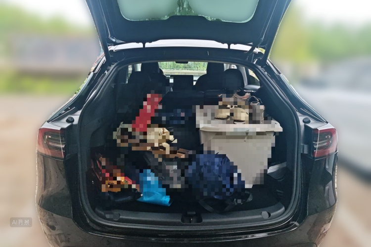 Tesla Model Y 2021 #21 Tesla Model Y 2021 car image #21