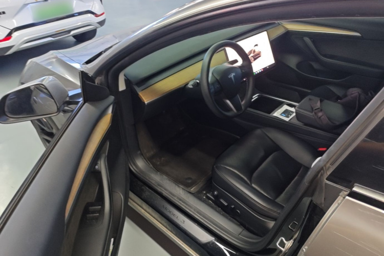 Tesla Model 3 2022 car image #16