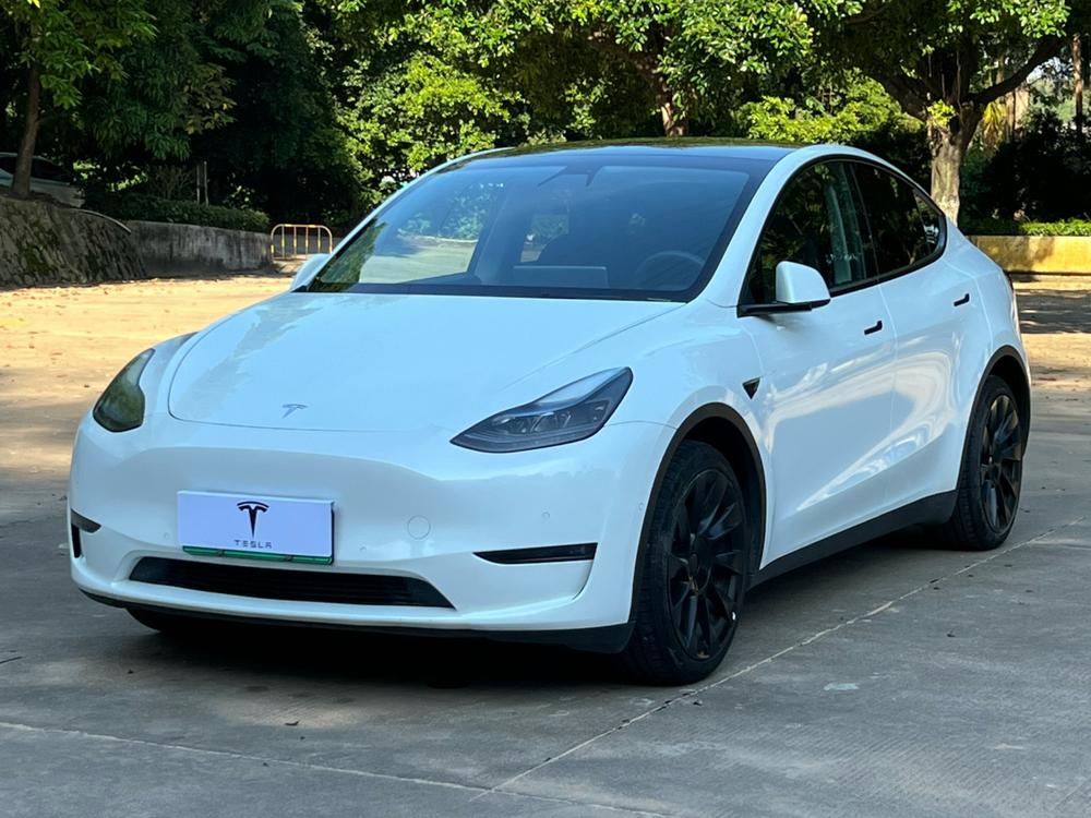 Tesla Model Y 2022 Tesla Model Y 2022 car image