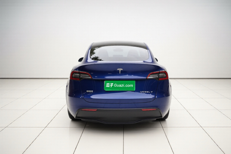 Tesla Model Y 2021 car image #6
