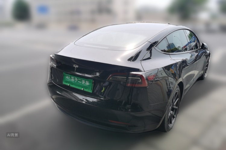 Tesla Model 3 2020 car image #7
