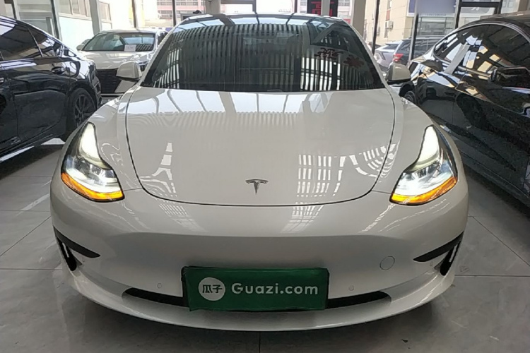 Tesla Model 3 2021 #3 Tesla Model 3 2021 car image #3