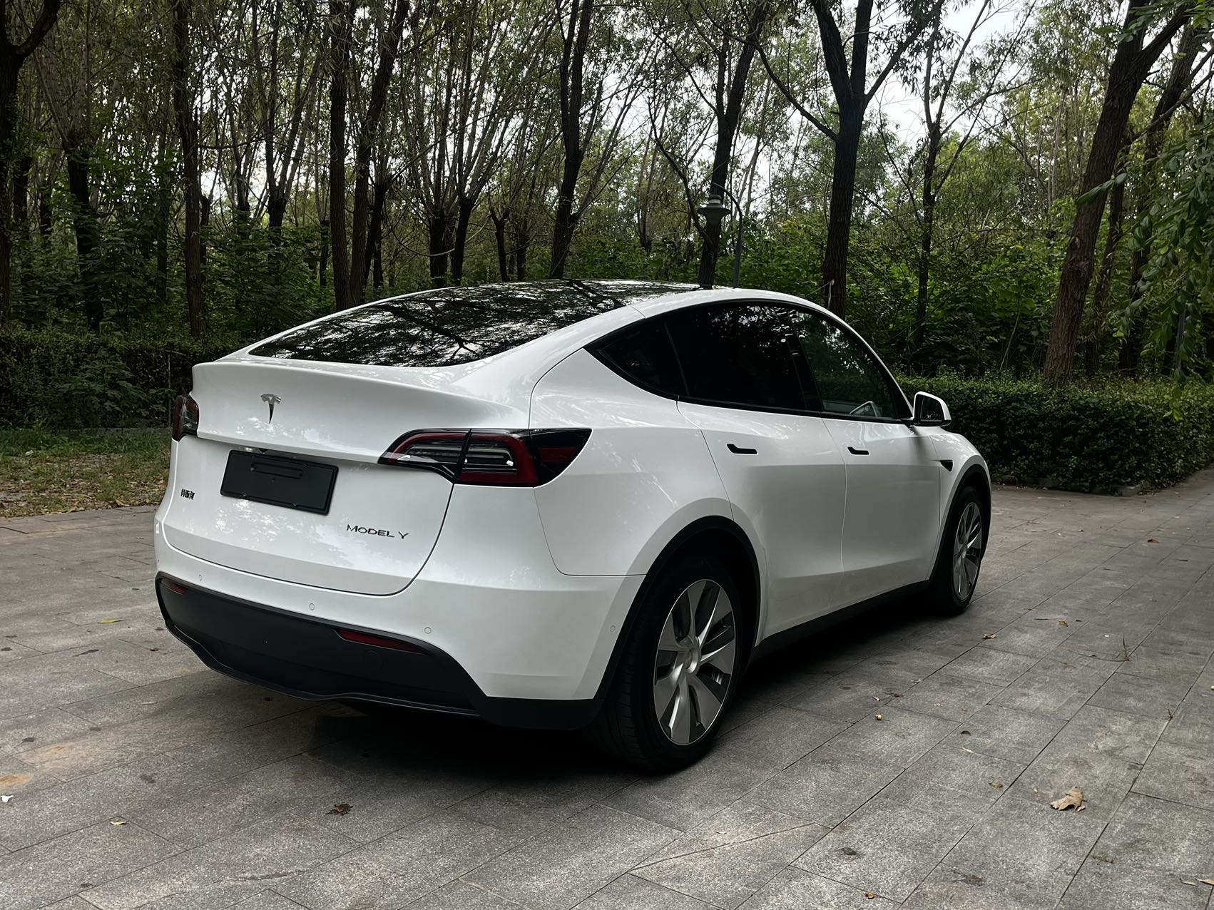 Tesla Model Y 2021 #4 Tesla Model Y 2021 car image #4