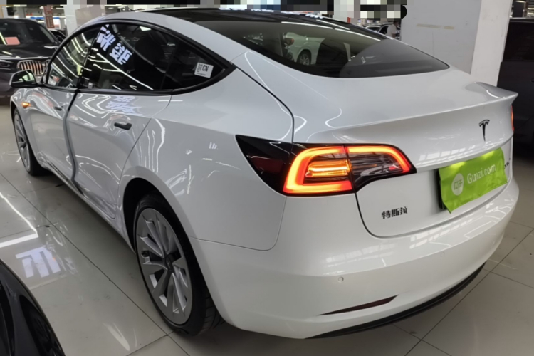 Tesla Model 3 2021 #5 Tesla Model 3 2021 car image #5
