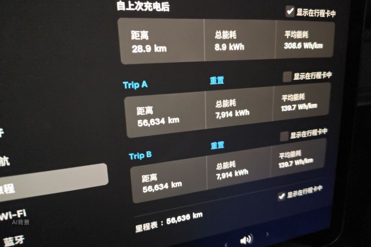 Tesla Model Y 2021 car image #14