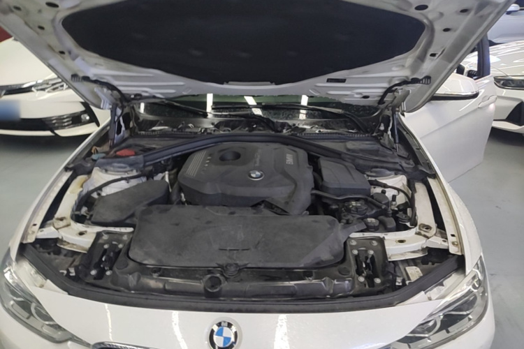 BMW 3 Series 2017 car image #20