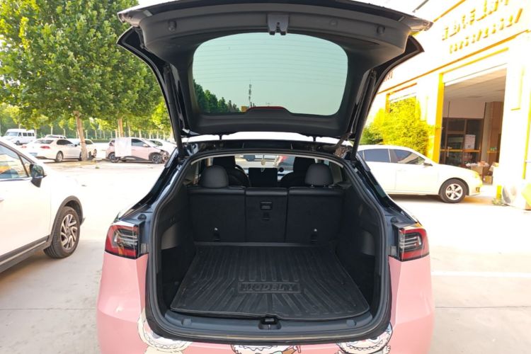 Tesla Model Y 2021 car image #19