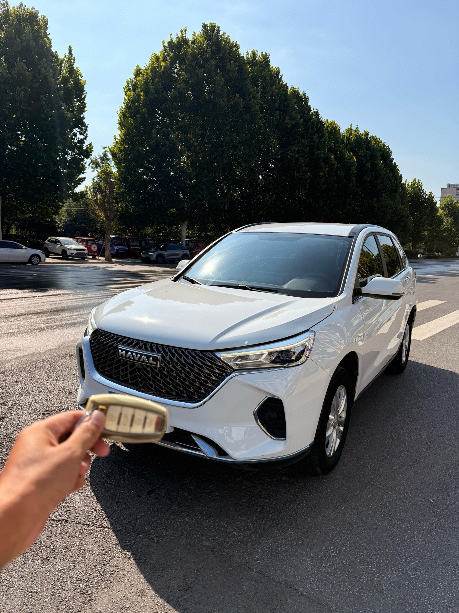 Haval M6 2024 car image 