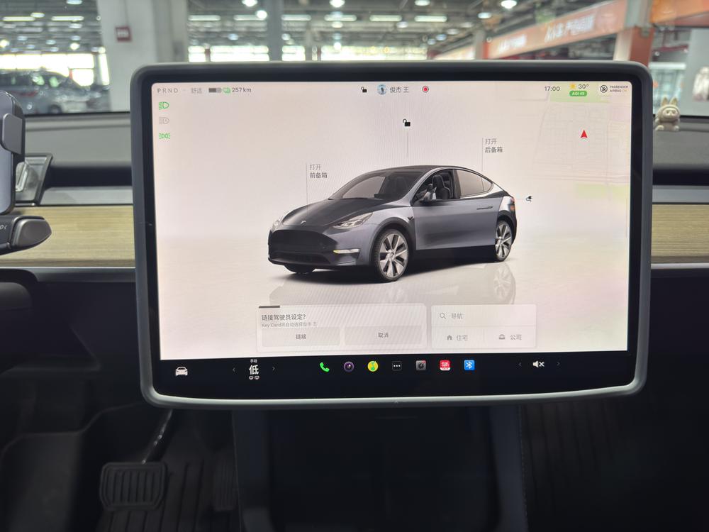 Tesla Model Y 2022 immagine di auto #13