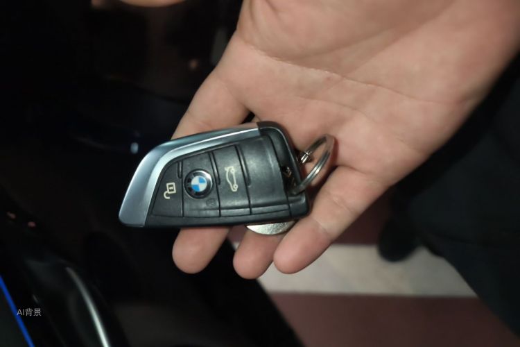 BMW X1 2019 car image #10