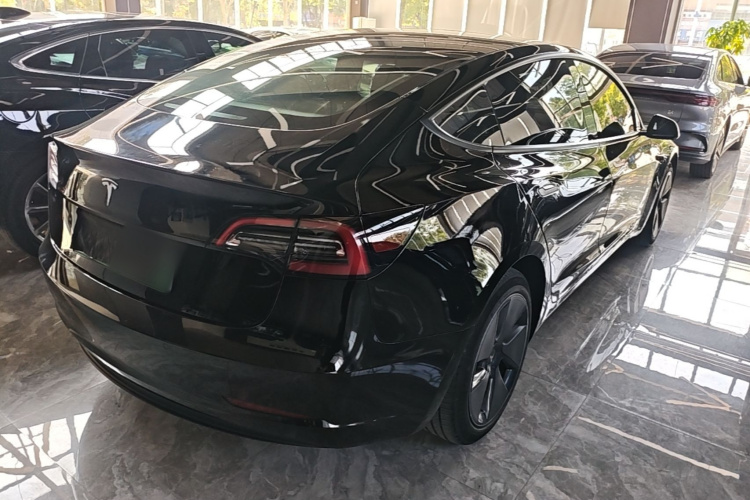 Tesla Model 3 2023 #7 Tesla Model 3 2023 car image #7