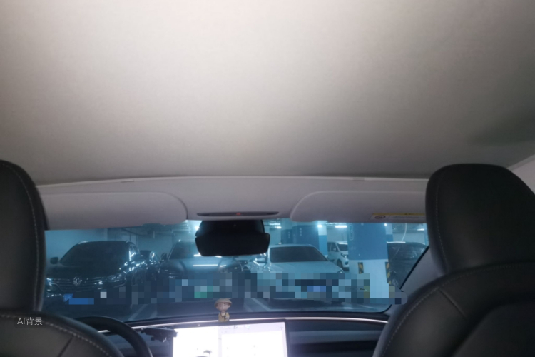 Tesla Model 3 2024 car image #20