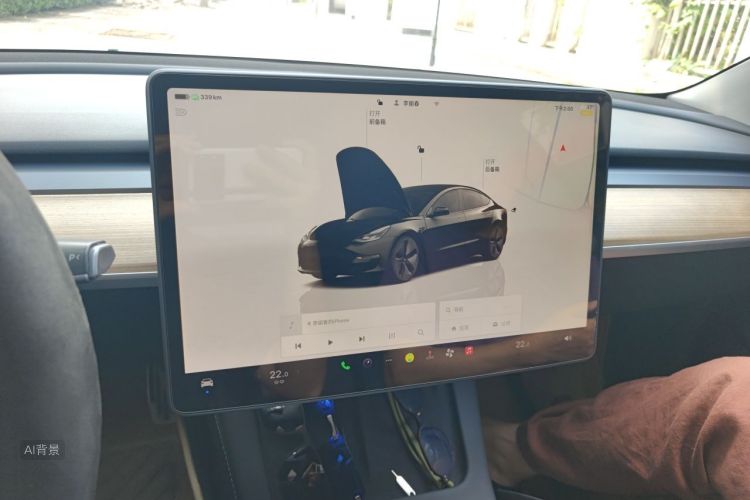 Tesla Model 3 2022 immagine di auto #15