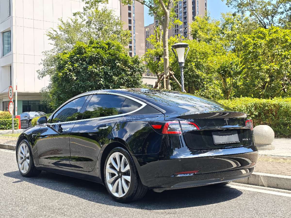 Tesla Model 3 2020 #8 Tesla Model 3 2020 car image #8