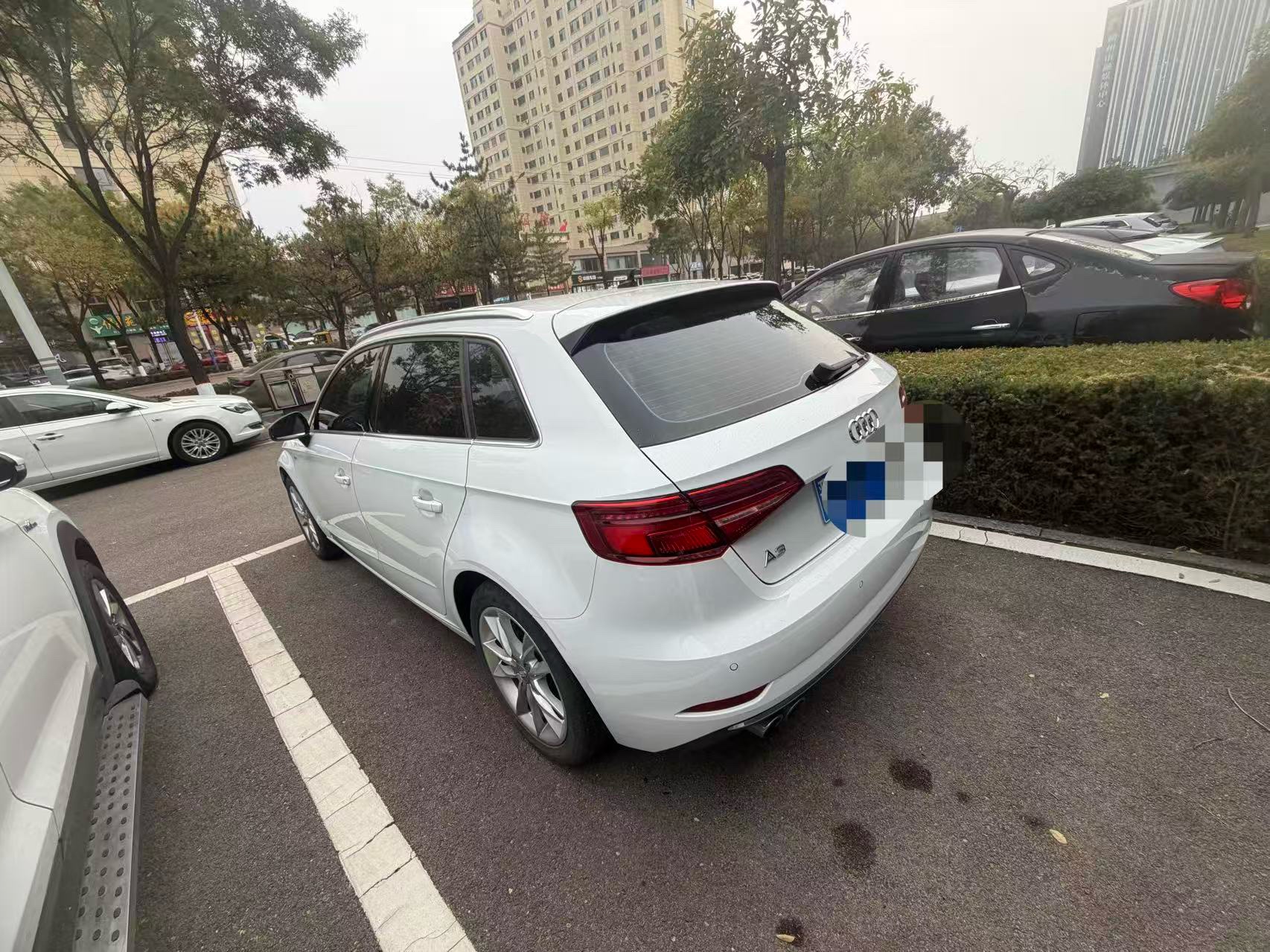 2019 #3 2019 car image #3