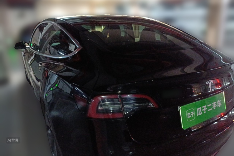 Tesla Model 3 2020 car image #5