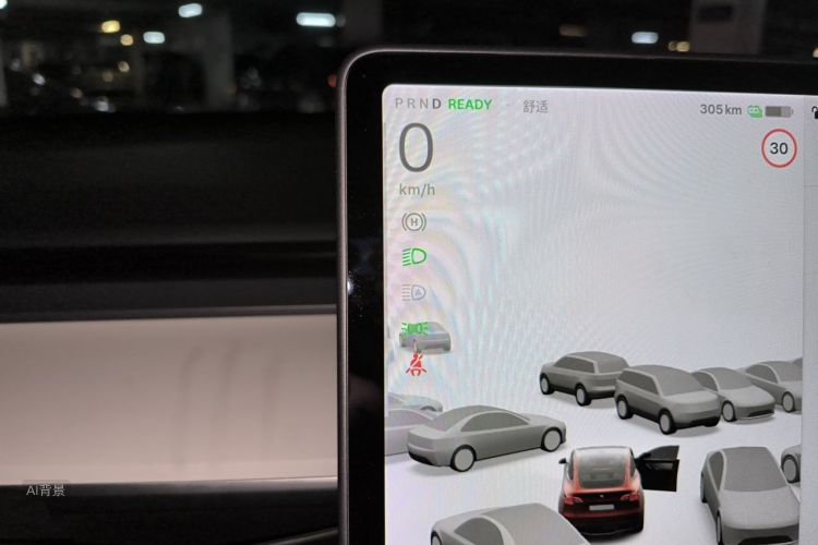 Tesla Model Y 2021 #13 Tesla Model Y 2021 car image #13