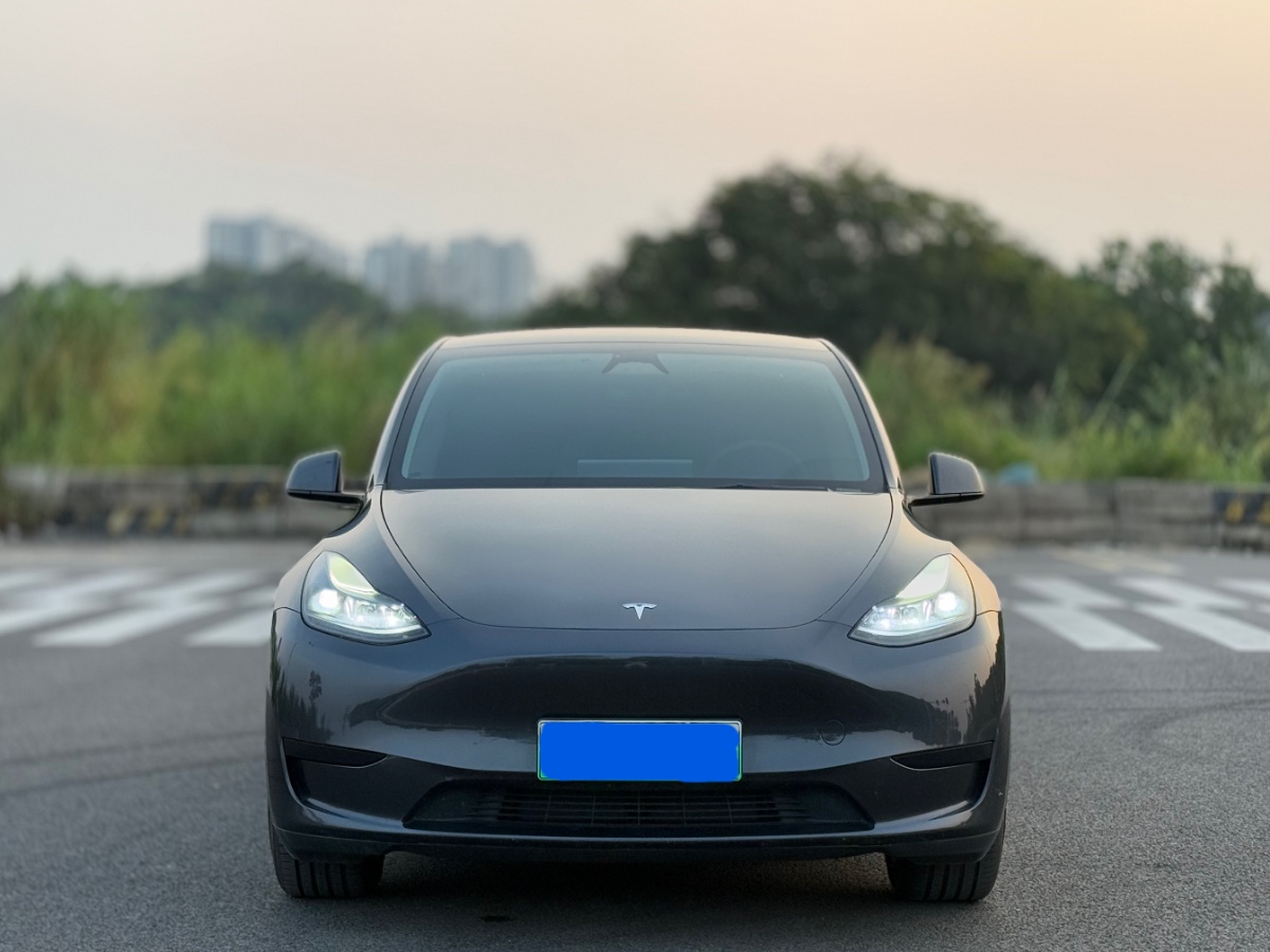 Tesla Model Y 2024 #2 Tesla Model Y 2024 car image #2