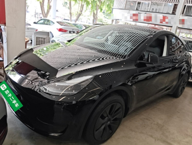 Tesla Model Y 2023 car image 