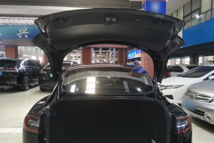 Tesla Model 3 2021 #19 Tesla Model 3 2021 car image #19