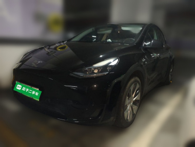 Tesla Model Y 2022 immagine di auto 