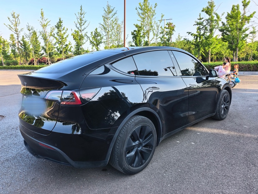 Tesla Model Y 2023 #8 Tesla Model Y 2023 car image #8