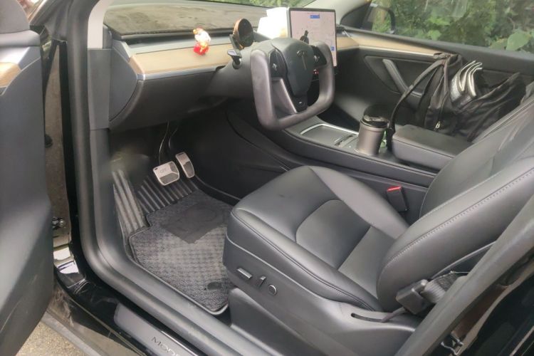 Tesla Model Y 2021 car image #13