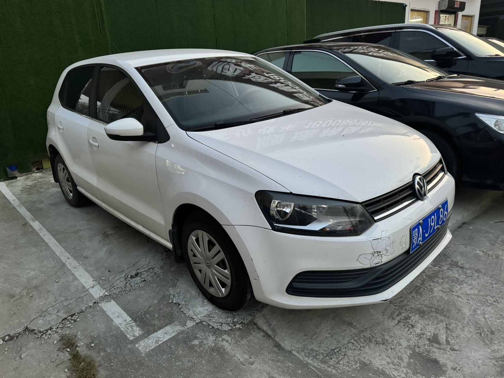 Volkswagen Polo 2015 #3 Volkswagen Polo 2015 immagine di auto #3