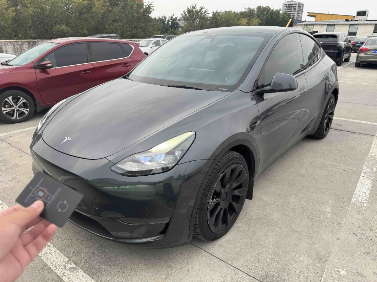 Tesla Model Y 2021 car image 