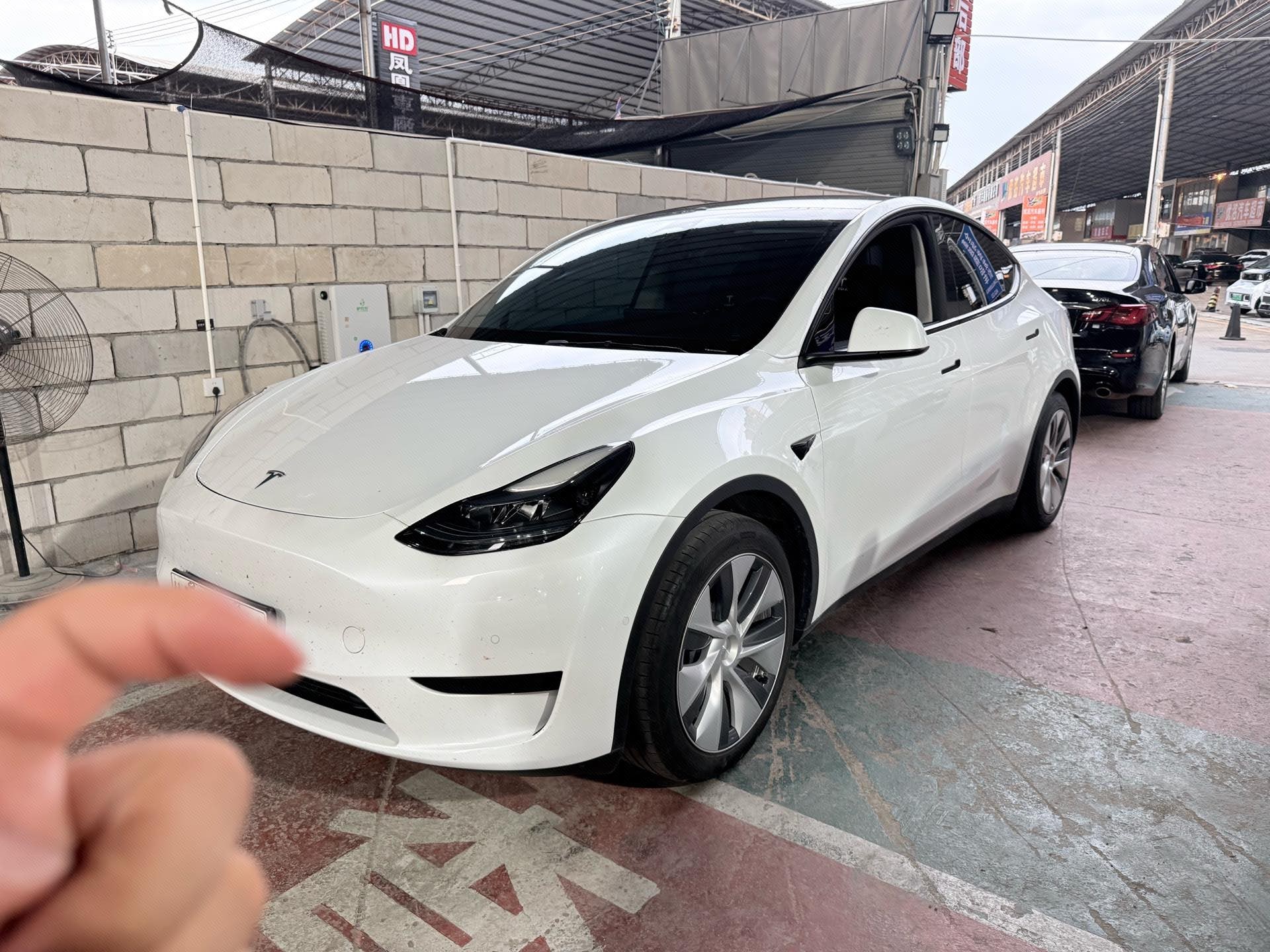 Tesla Model Y 2023 car image 