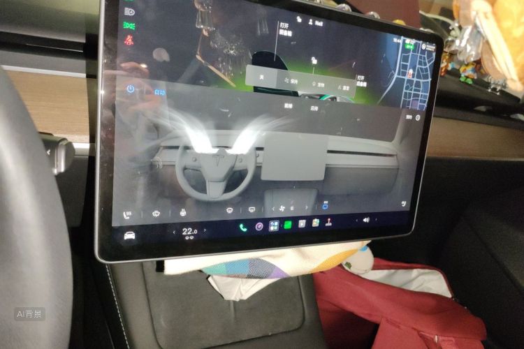 Tesla Model 3 2022 car image #15