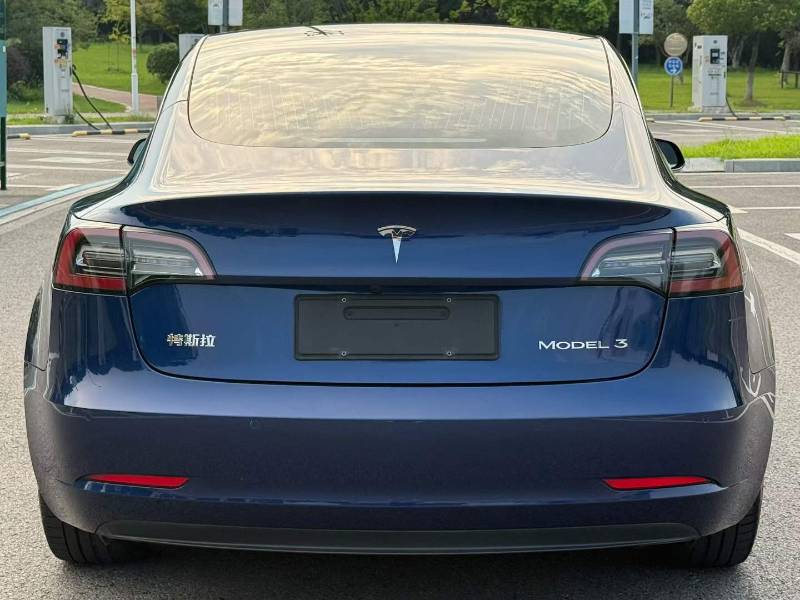 Tesla Model 3 2020 car image #3