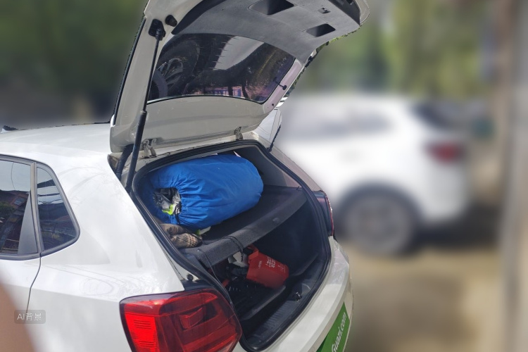 Volkswagen Polo 2018 car image #21