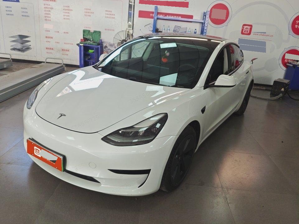 Tesla Model 3 2021 immagine di auto 