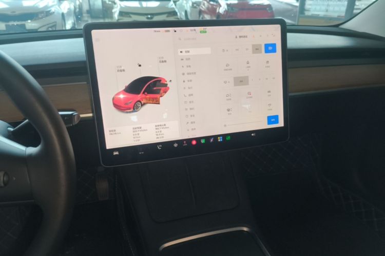 Tesla Model 3 2021 car image #13