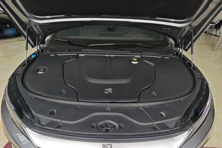 BYD Han 2023 car image #20