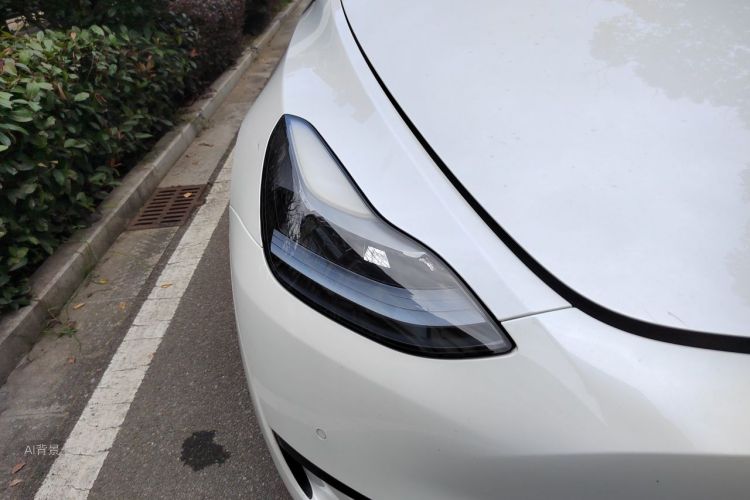 Tesla Model Y 2022 #8 Tesla Model Y 2022 car image #8