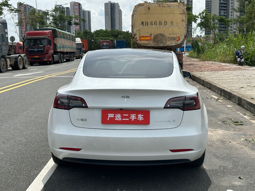Tesla Model 3 2021 #8 Tesla Model 3 2021 car image #8