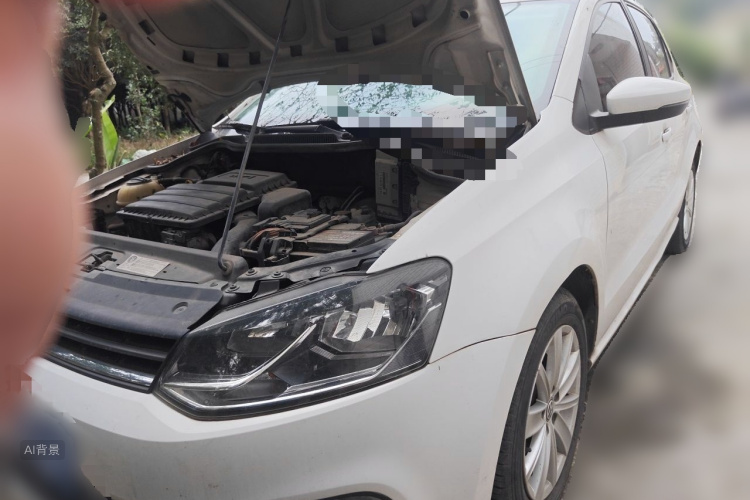 Volkswagen Polo 2015 car image #2