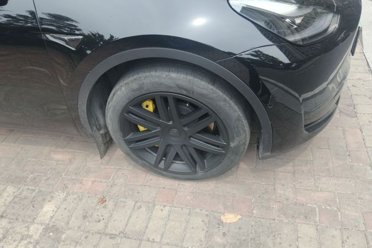 Tesla Model Y 2023 car image #6