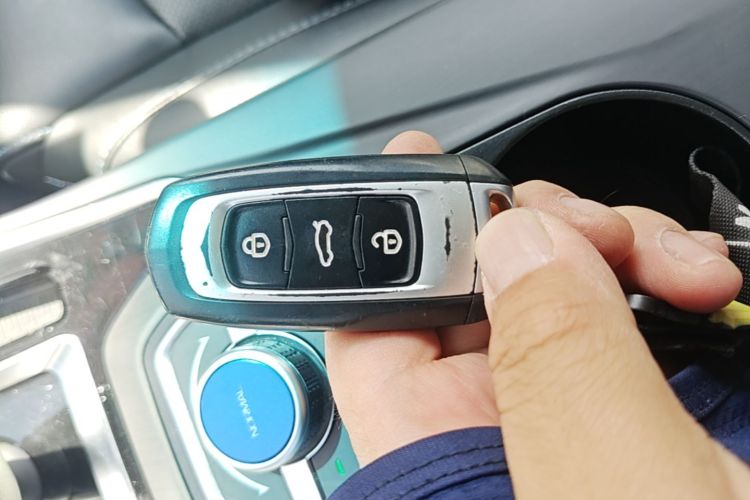 GEELY Emgrand New Energy 2018 car image #10