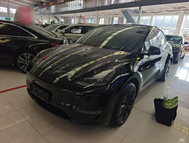 Tesla Model Y 2023 Tesla Model Y 2023 car image