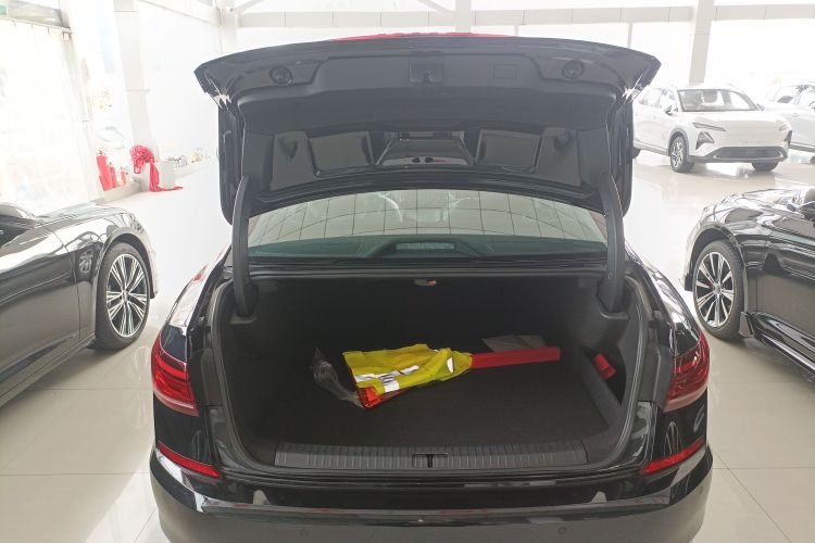 Volkswagen Passat New Energy 2025 immagine di auto #19