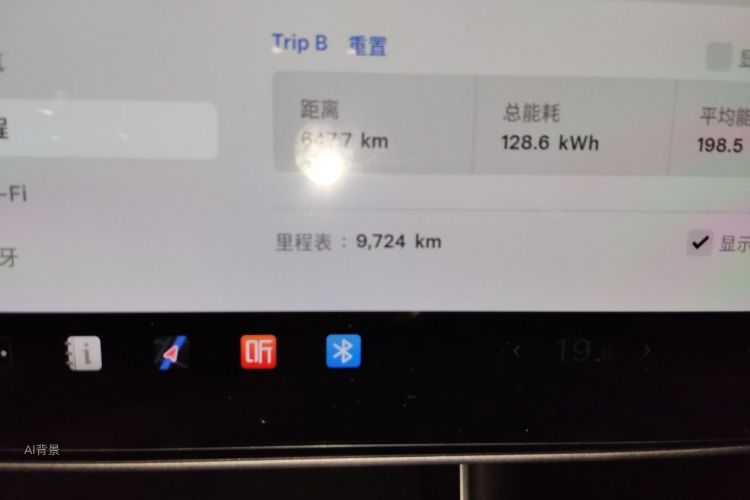 Tesla Model 3 2020 car image #14